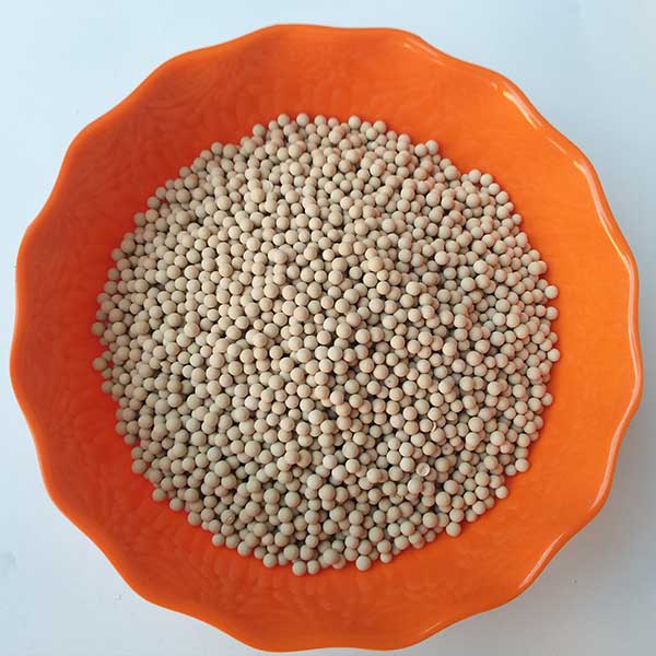 ���ӺY���